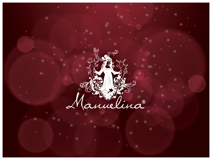 Vetrina di Natale dell'azienda Manuelina