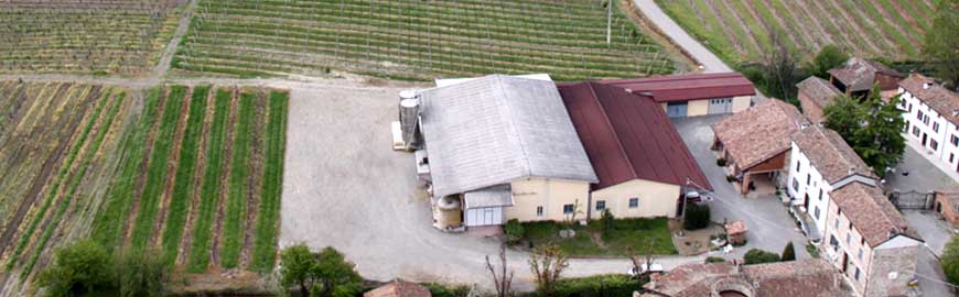 Azienda Manuelina