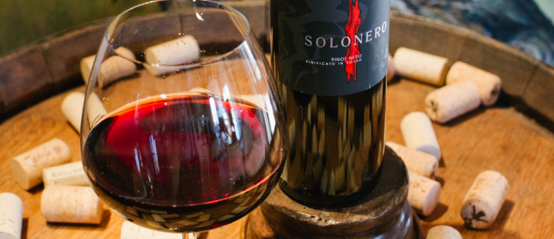 Pinot Nero Solonero