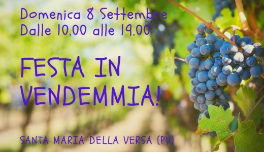 Festa in vendemmia (Santa Maria della Versa, 08/09/2019)