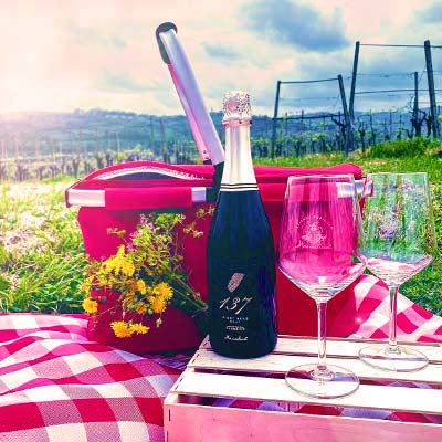 Picnic in vigna