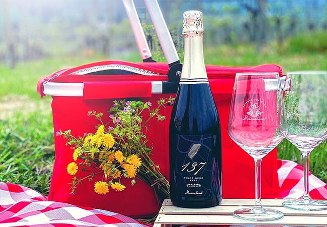 Picnic in vigna