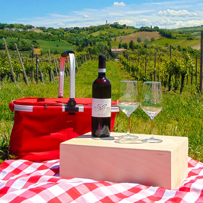 Picnic in vigna