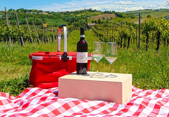 Picnic in vigna