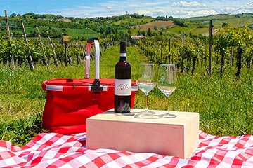 Picnic in vigna