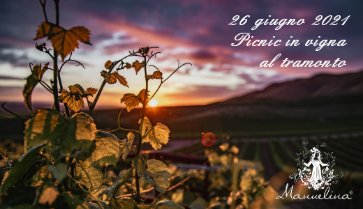 Picnic in vigna al tramonto (26/06/2021)