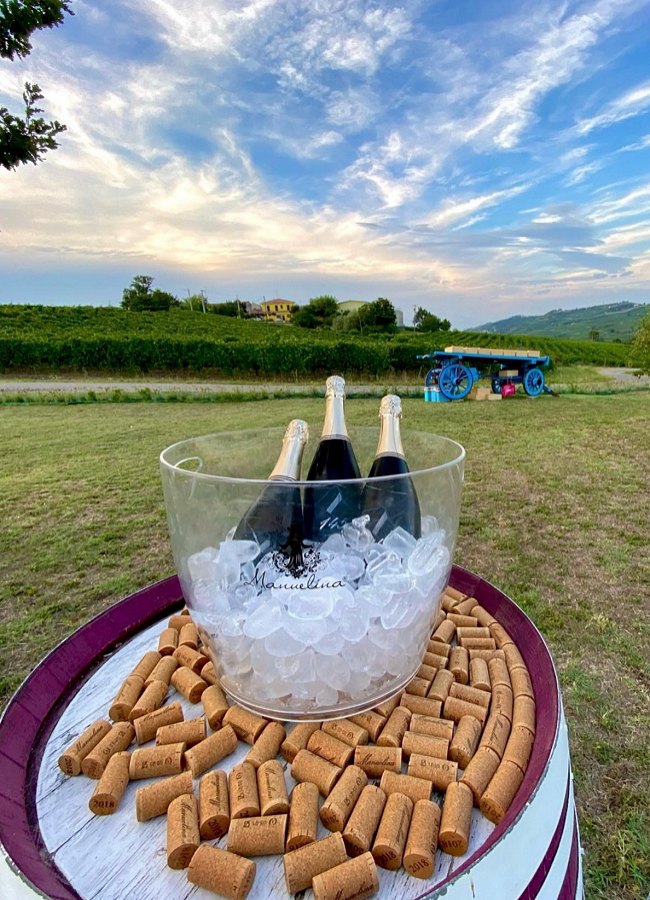 Area picnic