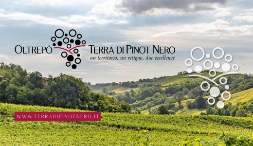 Oltrepò terra di Pinot Nero (27/09/2021)