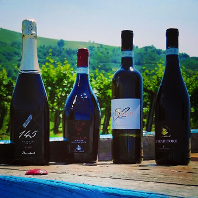 Degustazioni e Picnic in vigna - Manuelina
